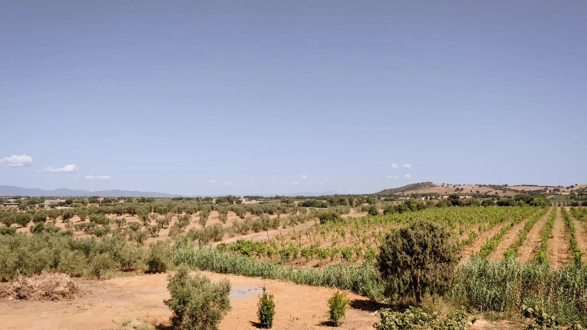 Agriturismo Bio Podere 109 - Wine&Food Alberese