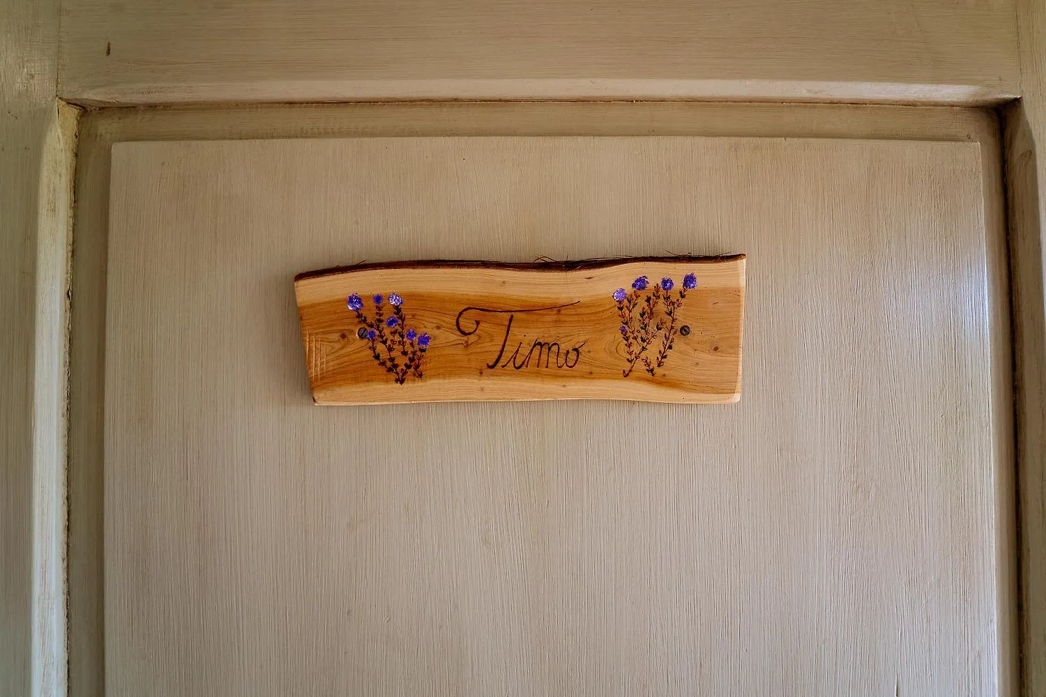 Farm stay Agriturismo Bio Podere 109 - Wine&Food Alberese Italy