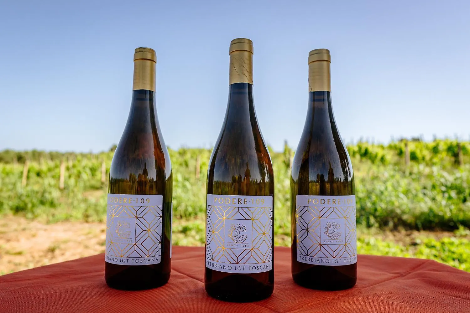 Agriturismo Bio Podere 109 - Wine&Food Alberese Lantgård