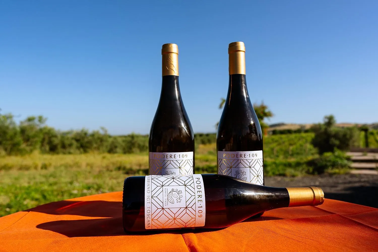 Lantgård Agriturismo Bio Podere 109 - Wine&Food Alberese Italien