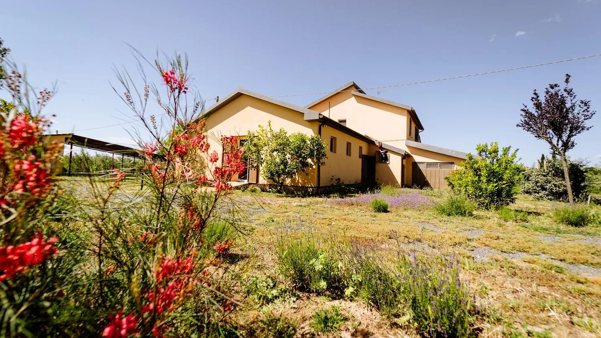 Farm stay Agriturismo Bio Podere 109 - Wine&Food Alberese