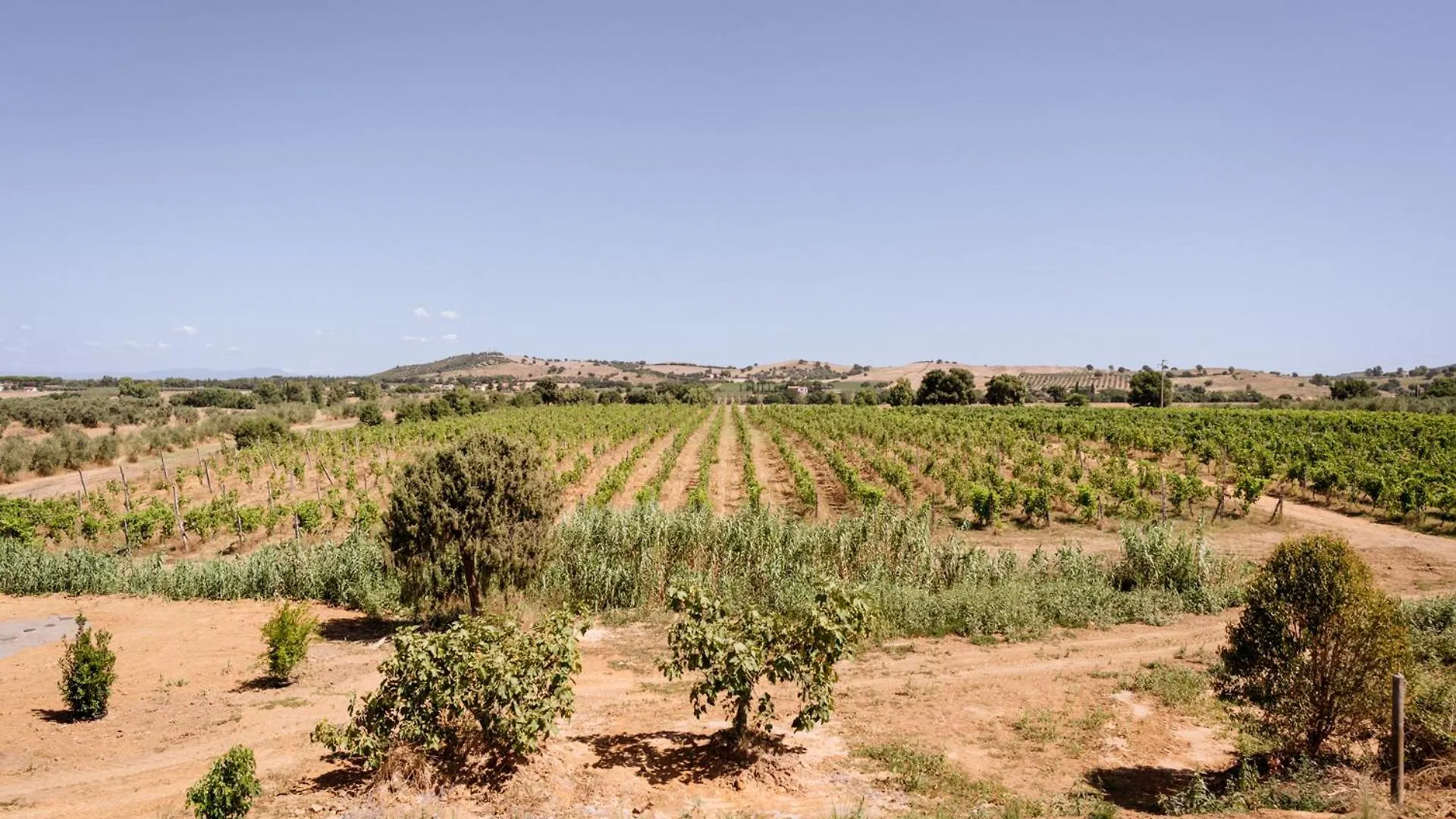 Agriturismo Bio Podere 109 - Wine&Food Alberese 0*,  Italia
